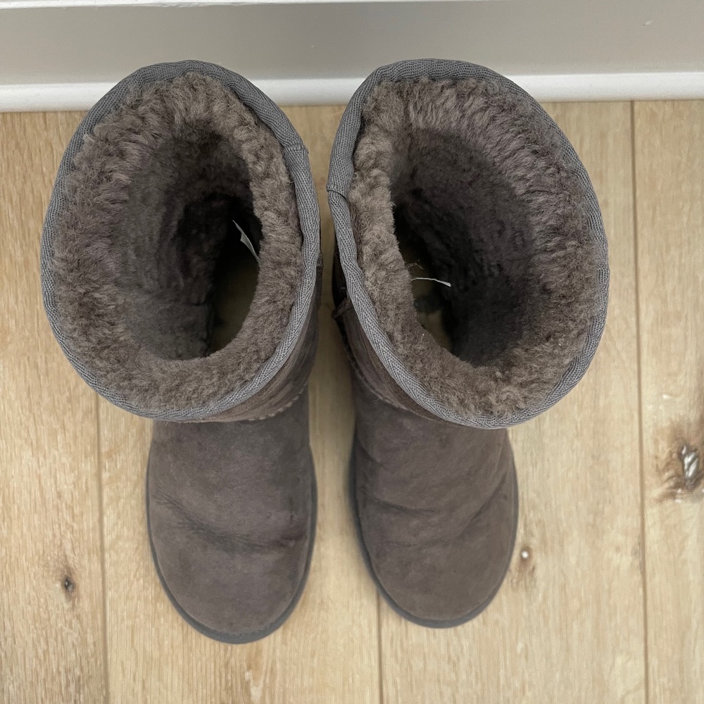 Women’s Classic Short Grey UGGs